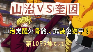 Sanji vs Quinn: Sanji awakens his exoskeleton and wears armed armor (One Piece episode 1055 fierce b