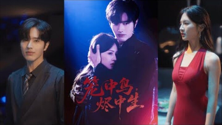 รักสามเส้าต้องห้าม ประธานาธิบดีที่บ้าคลั่งและเผด็จการตกหลุมรักลูกสาวคนรวย และชายผู้แข็งแกร่งสองคนแข่