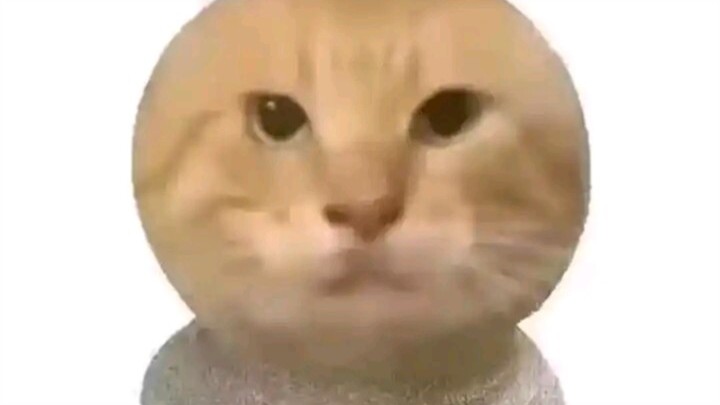 Người nuôi bò sữa thơm quá!