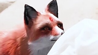 小九并不知道素素是姑姑，却是九重天上唯一对她好的人。
