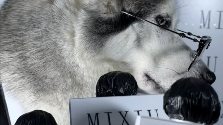 Menolak menjawab pertanyaan-pertanyaan ini