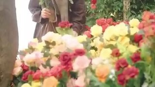 #SharingIsCaring #243 #UploadJustForDiversion #DontAskForTheTitle #ChineseMiniDrama #JustWatch 😉