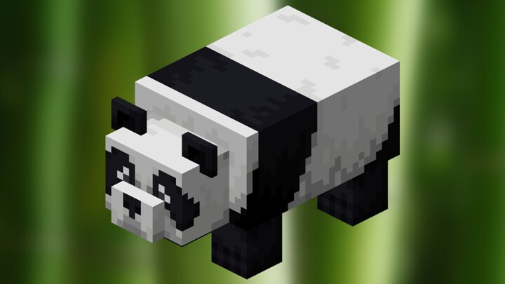 Minecraft: All the Fun Facts About "Pandas," Characteristics of Pandas You Didn't Know!