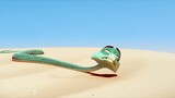A Cobra Travels Entire Sahara And Battles A Snake charmer To Rescue His Soulmate From Captivity