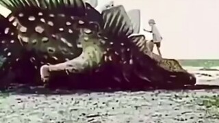 在过去，电影特效都是如何完成的？