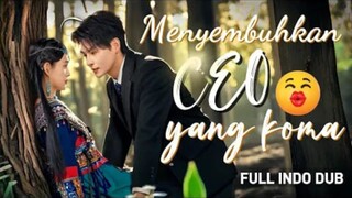 menyembuhkan CEO yang koms