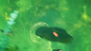 Cultivators' realms corresponding to ordinary people and beast races from level 1 to level 10 #Anime