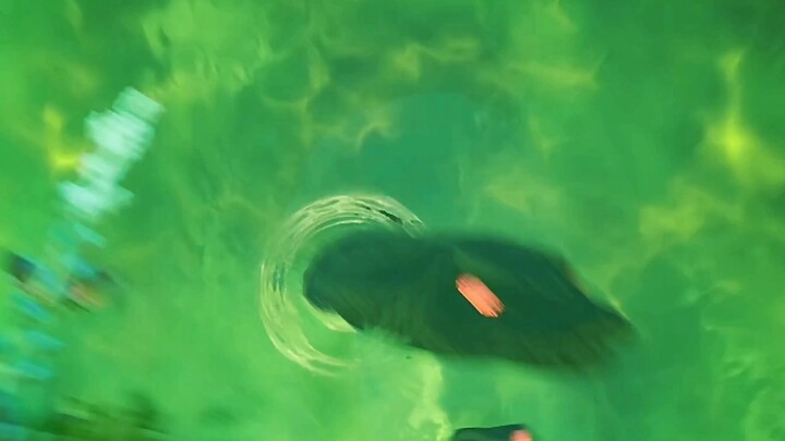 Cultivators' realms corresponding to ordinary people and beast races from level 1 to level 10 #Anime