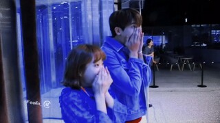 2024年了！走不出来的只有我【安敏赫×都奉顺】【朴炯植×朴宝英】