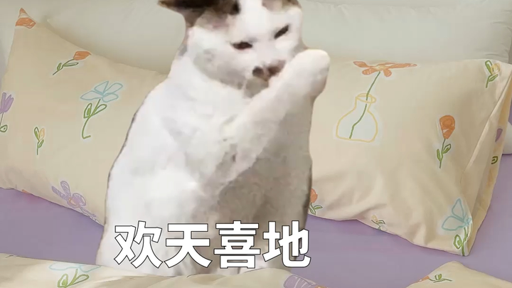 How My Mood Changed Over the 5-Day Holiday~