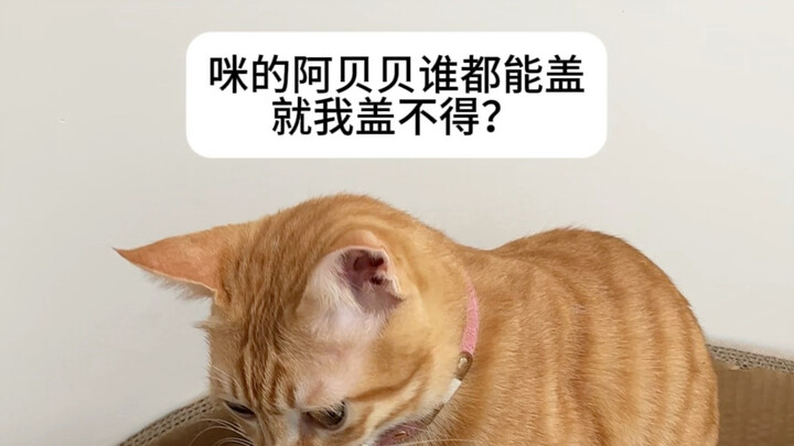 เหมยก็เอาแต่เล่นงานฉันแบบนี้