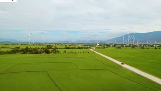 DU LỊCH NINH THUẬN _ Khám phá Cung Đường Ven Biển DT701_ 5