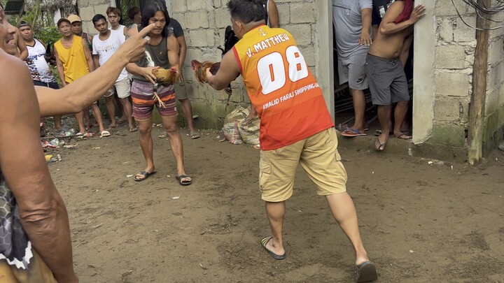 4th W. son of majinboo the tinola line