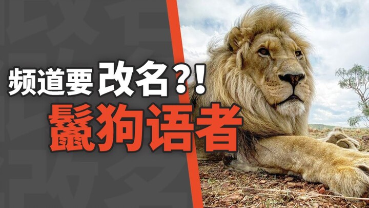 Di luar dugaan | Siapa sih yang paling disukai sebagai si imut menggemaskan