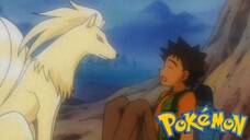 Pokémon Tập 234: Kyukon Trong Sương Mù! (Lồng Tiếng)