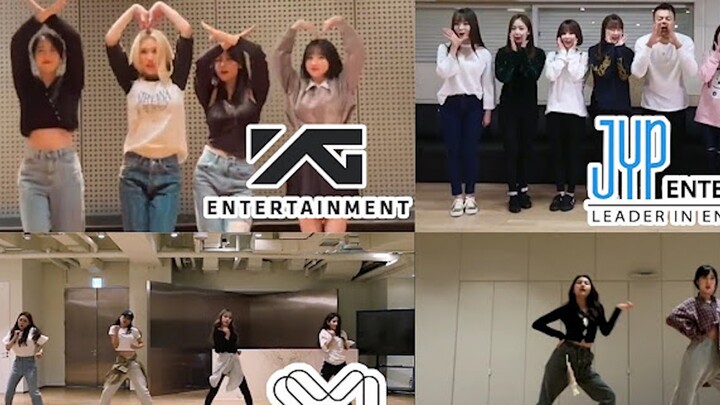 هههه، يمكن القول إن هوانغ إنفي زارت استوديوهات التدريب الثلاثة الكبرى جميعها.