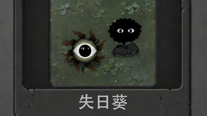 New Plant: Sunflower of the Lost Day