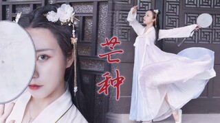 【翻跳】- 芒种 -