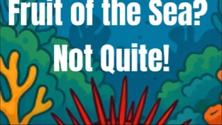 "Not a Snack—It’s a Sea Urchin!"