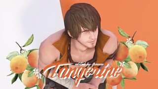 FF14/最终幻想14 || 公式光  Tangerine