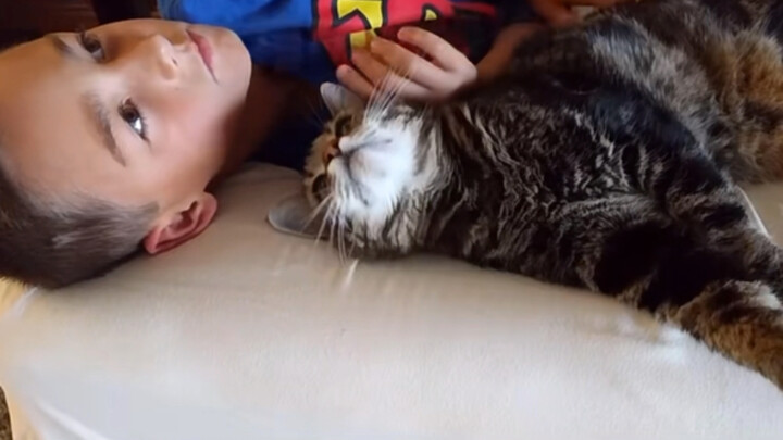 Cat: Little Master, I’ll keep you safe!