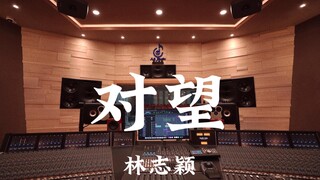 林志颖《对望（《放羊的星星》片尾曲）》百万豪装录音棚大声听