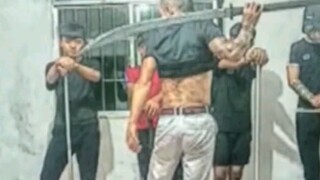 หนุ่มคนหนึ่งยังคงไม่สำนึกผิดแม้จะถูกจำคุกมา 5 ปีแล้ว เขาอ้างว่าเป็นวัวดินและก่อตั้ง "กองทัพวัวสุดโต่