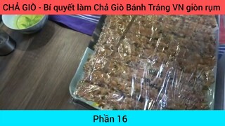 chả giò bí quyết làm chả giò phần 16