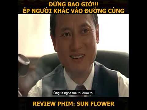 Review Phim: SUN FLOWER