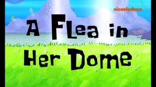 Spongebob Squarepants S5 (Malay) - A Flea In Her Dome