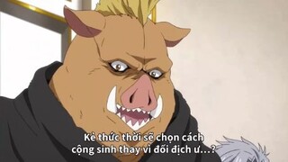 Chính sách của Tempest