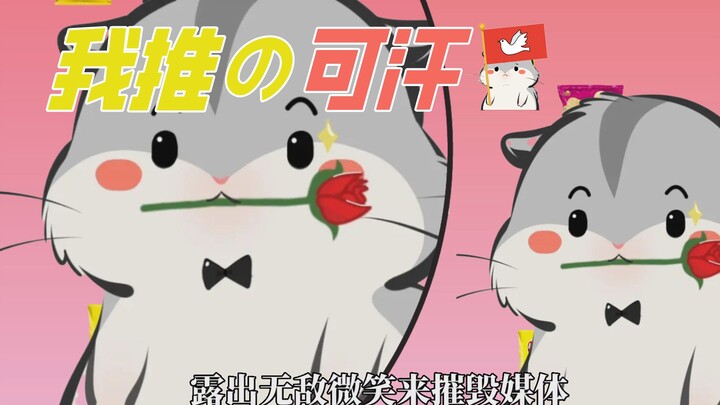 [My Favorite] My Favorite Khan