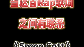 有逻辑的snoop catt
