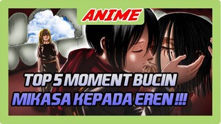 Cinta terhalang Genre !! TOP 5 Momen Bucin Mikasa kepada Eren ( Attack on Titan )