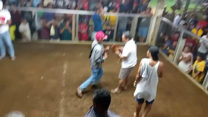 Moon Walker Cross To Claret 9months 1x winner