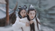 公冶寂无爱了黎苏苏十年啊!他真的爱你,句句不轻易……【邓为x白鹿|长月烬明】