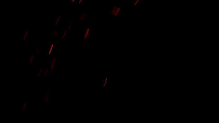 night party