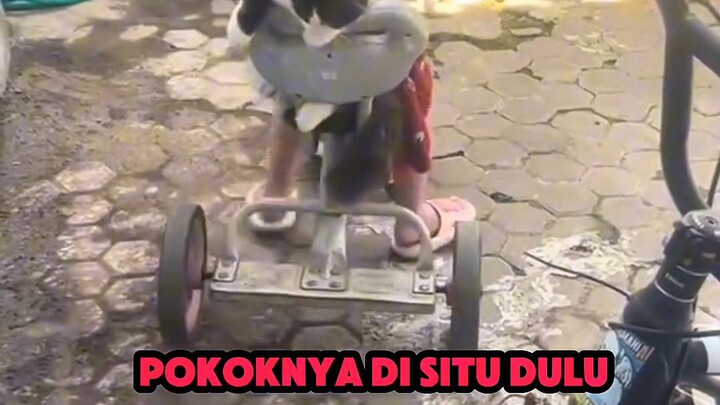 TERPAKSA AKU BONGKAR IDENTITASKU #hok #HonorOfKings #korveleon   #eventhonorofkings #hokcamp