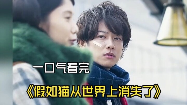 ดูจบรวดเดียวเรื่อง “ถ้าแมวหายไปจากโลก” ทุกๆ วันที่ผู้ชายคนหนึ่งมีชีวิตอยู่ต่อ จะมีสิ่งใดสิ่งหนึ่งบนโ