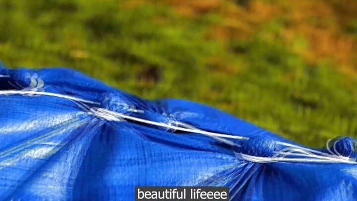 những người đồng hành tốt p3 #beautifullifeeee
