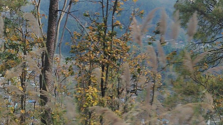 Travel in Nepal