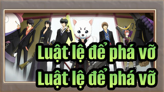 [Luật lệ để phá vỡ] Gửi đến Fan của "Luật lệ để phá vỡ"