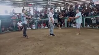 golden boy sweater straight com 3x win na  balda din putol daliri