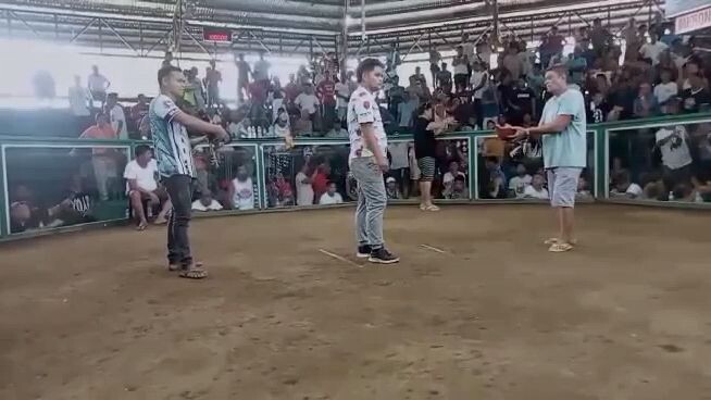 golden boy sweater straight com 3x win na  balda din putol daliri