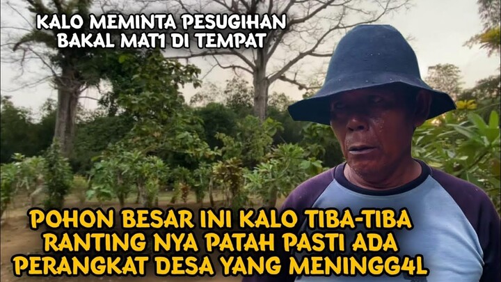 PAK WARIDIN PENJAGA MAKAM KRAMAT ❗SERING NEMUIN ORANG TERGELETAK DI POHON KARNA MEMINTA PESUGIHAN!