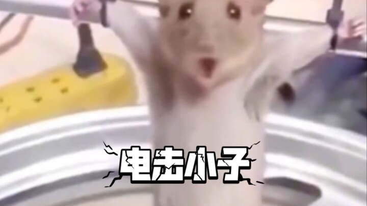 Mouse: HR, you're not doing anything at all!