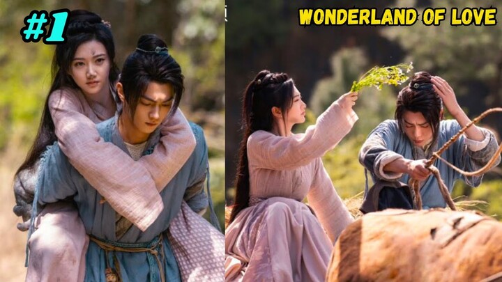 Wonder Land Of Love Hindi Explanation | Part 1 | Chinese Drama In Hindi | Episode - 1 to 3