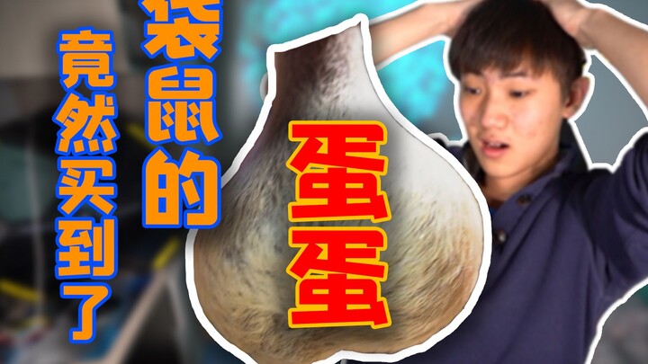 I bought a pouch! of! kangaroo! eggs! on Taobao—their texture is surprisingly amazing.