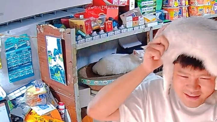 Bagaimana aku bisa menjalani kehidupan yang menyedihkan sekarang karena kucing-kucing menjengkelkan 