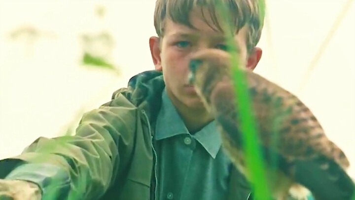 เด็กซนคนนี้ได้รับนกอินทรีตัวหนึ่ง